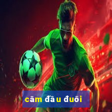 câm đầu đuôi