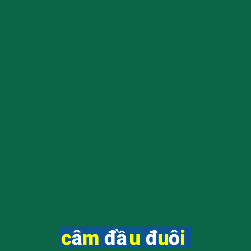 câm đầu đuôi