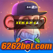 xem bắn cá