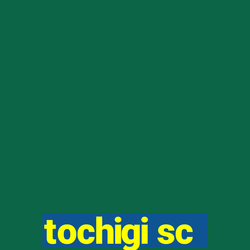 tochigi sc