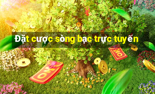 Đặt cược sòng bạc trực tuyến