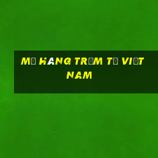 Mở hàng trăm tỷ Việt nam