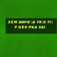 xem bóng đá trực tiếp kèo nhà cái