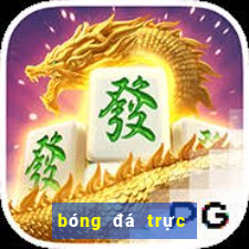 bóng đá trực tuyến vtv5