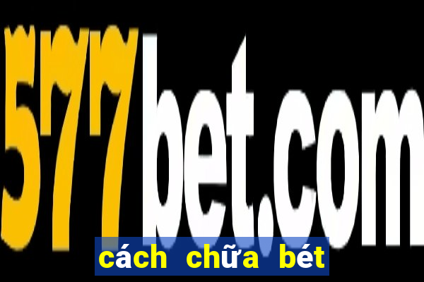 cách chữa bét cho chó