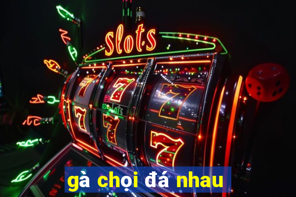 gà chọi đá nhau