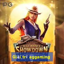 Giải trí aggaming