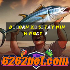 Dự Đoán Xổ Số Tây Ninh ngày 9