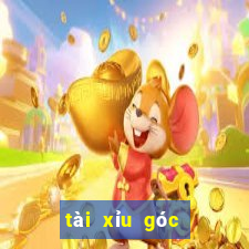 tài xỉu góc là gì