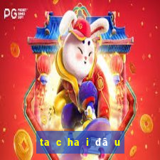 ta c ha i đâ u hu no ng