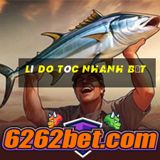 lí do tóc nhanh bết