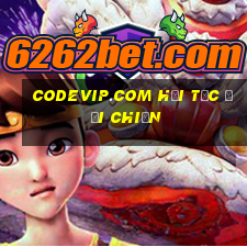 codevip.com hải tặc đại chiến