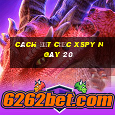 Cách đặt cược XSPY ngày 20