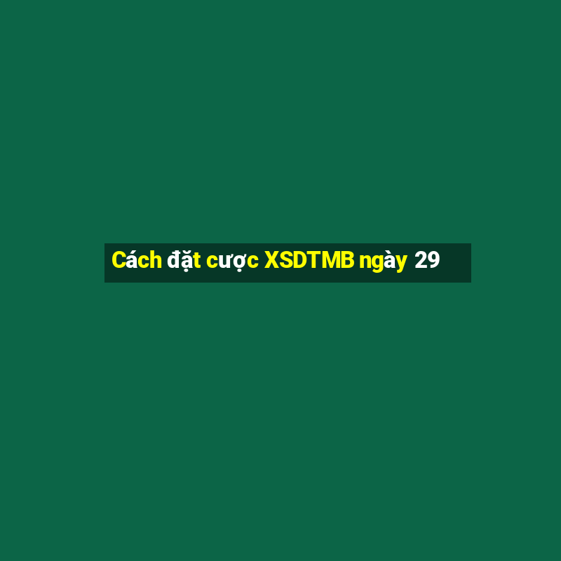 Cách đặt cược XSDTMB ngày 29