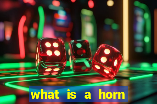 what is a horn bet in craps