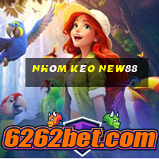 nhóm kéo new88