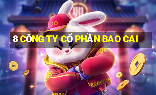 8 CÔNG TY CỔ PHẦN BAO CAI