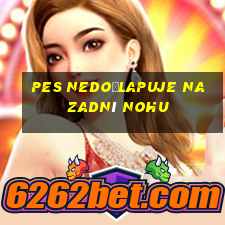 pes nedošlapuje na zadní nohu