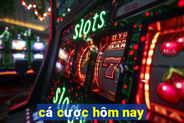 cá cược hôm nay