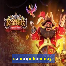 cá cược hôm nay