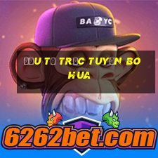 Đầu tư trực tuyến Bohua