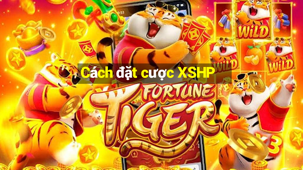 Cách đặt cược XSHP