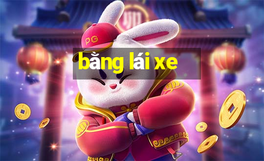 bằng lái xe