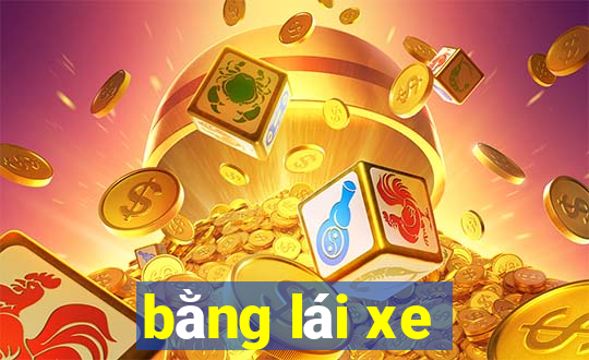 bằng lái xe