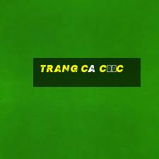 trang cá cược