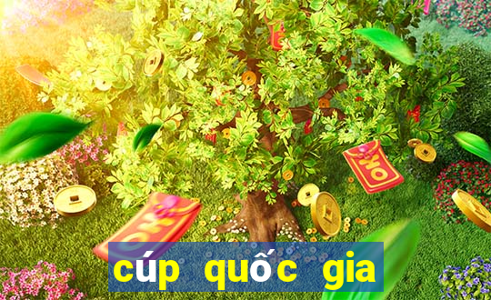 cúp quốc gia châu á