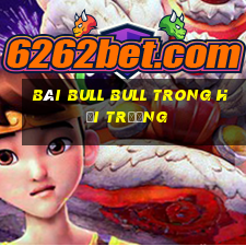 bài bull bull trong hội trường