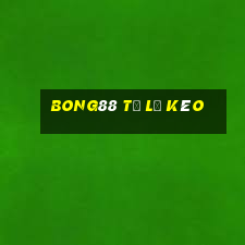 bong88 tỷ lệ kèo