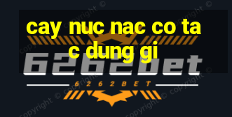 cay nuc nac co tac dung gi