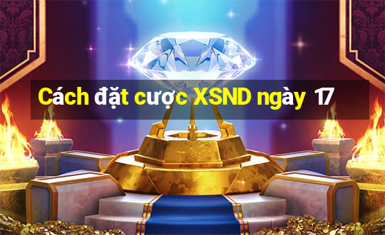 Cách đặt cược XSND ngày 17