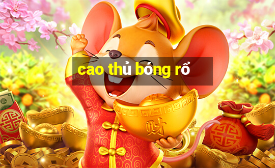 cao thủ bóng rổ