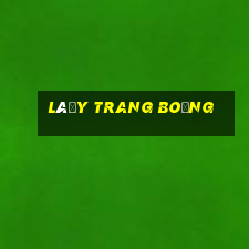 lấy trang bóng