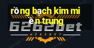 rồng bạch kim miền trung