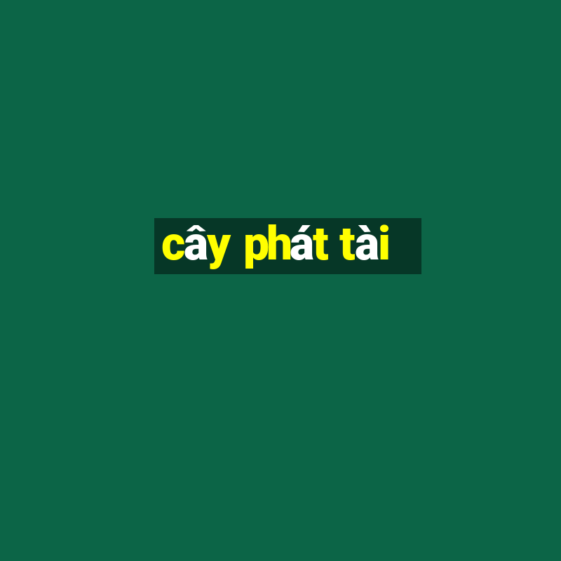 cây phát tài