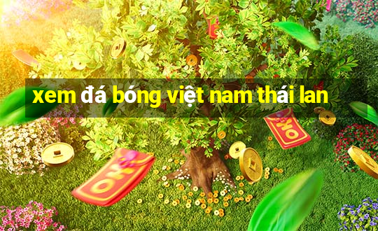 xem đá bóng việt nam thái lan