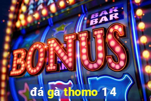 đá gà thomo 1 4