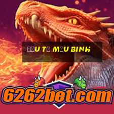 đầu tư Mậu Binh