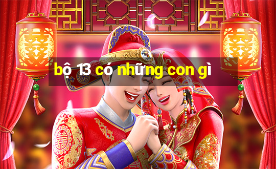 bộ 13 có những con gì