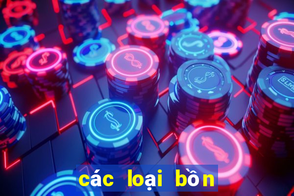 các loại bồn cầu bệt