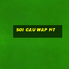 soi cau wap nt