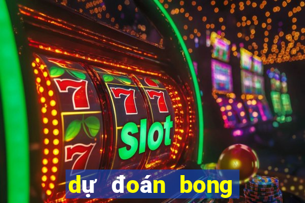 dự đoán bong da hom nay