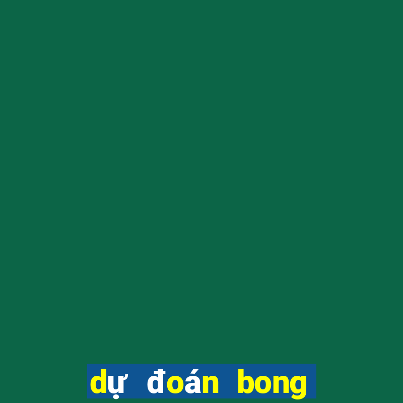 dự đoán bong da hom nay