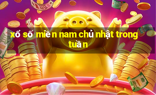 xổ số miền nam chủ nhật trong tuần