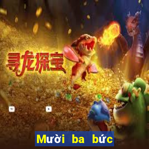 Mười ba bức ảnh phi thường