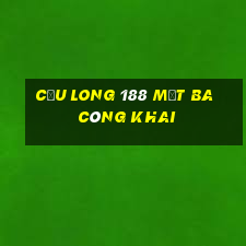 Cửu Long 188 mặt ba công khai