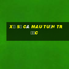 xổ số cà mau tuần trước